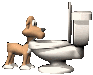 dogdrinking.gif