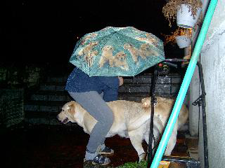 image105.png