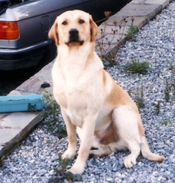 image108.png